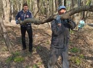 12 мая в Ульяновске пройдёт городской субботник