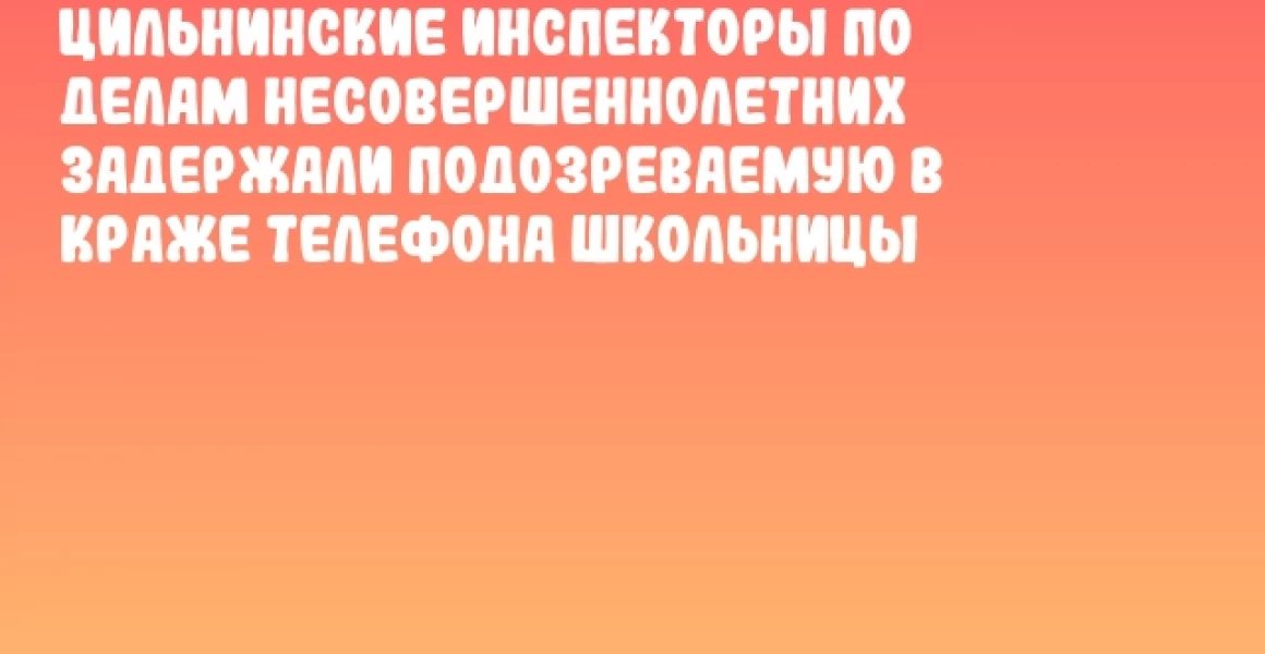 Цильнинские инспекторы по делам несовершеннолетних задержали подозреваемую в краже телефона школьницы Цильнинские инспекторы по делам несовершеннолетних задержали подозреваемую в краже телефона школьницы