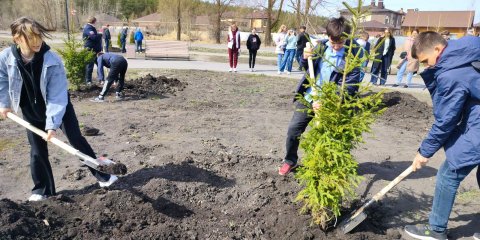 Глава Ульяновска Александр Болдакин утвердил план осеннего озеленения