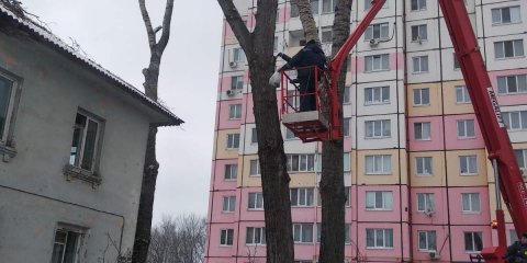 За прошлый год в Ульяновске спилили порядка четырёх тысяч аварийных деревьев