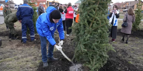 С октября в Ульяновске начнутся масштабные озеленительные работы