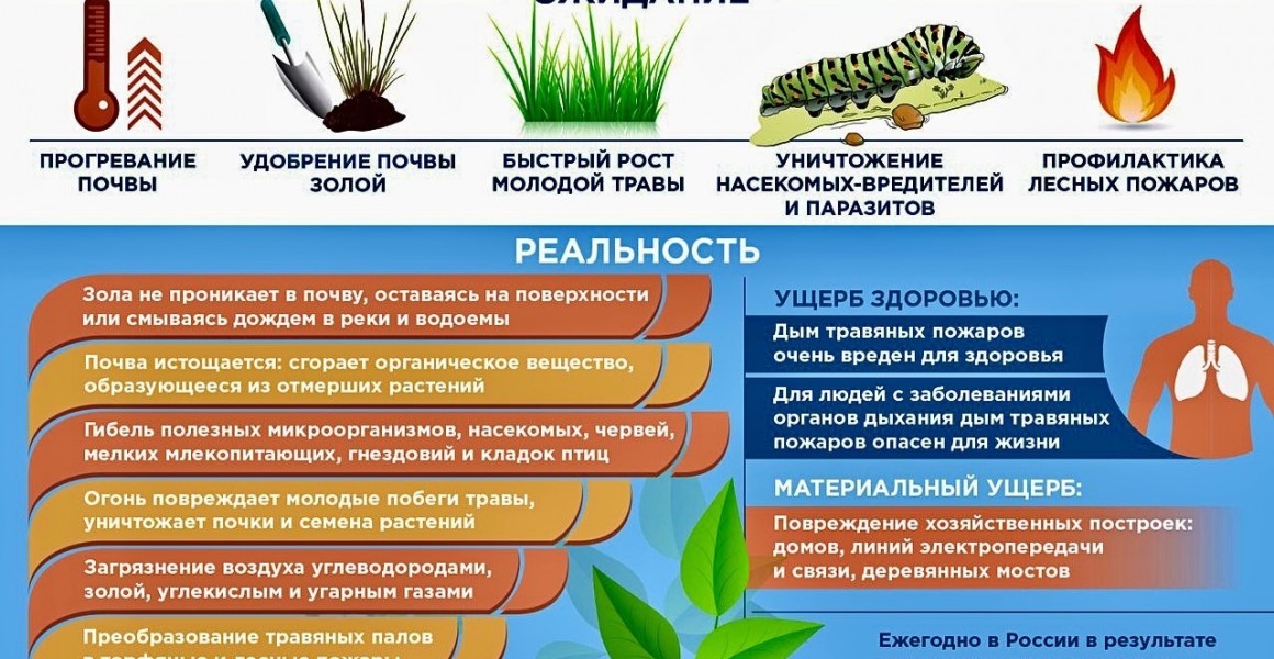 Ульяновск входит в весенне-летний пожароопасный сезон