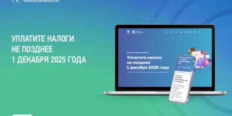 Ульяновцам напоминают о необходимости оплатить имущественные налоги не позднее 1 декабря 
