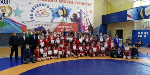 В Ульяновске пройдёт международный фестиваль по борьбе самбо