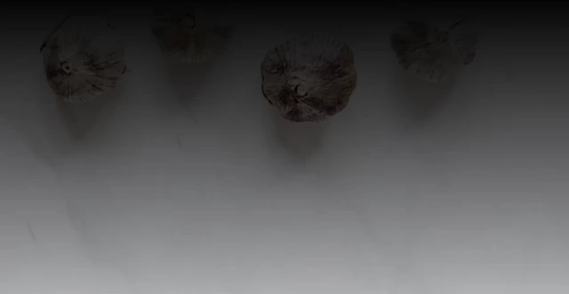 Следователями ОМВД России по Цильнинскому району расследуется уголовное дело по факту мошенничества при продаже сельскохозяйственных животных