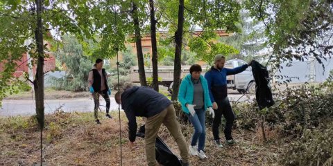 7 октября в Ульяновске пройдёт очередной общегородской субботник