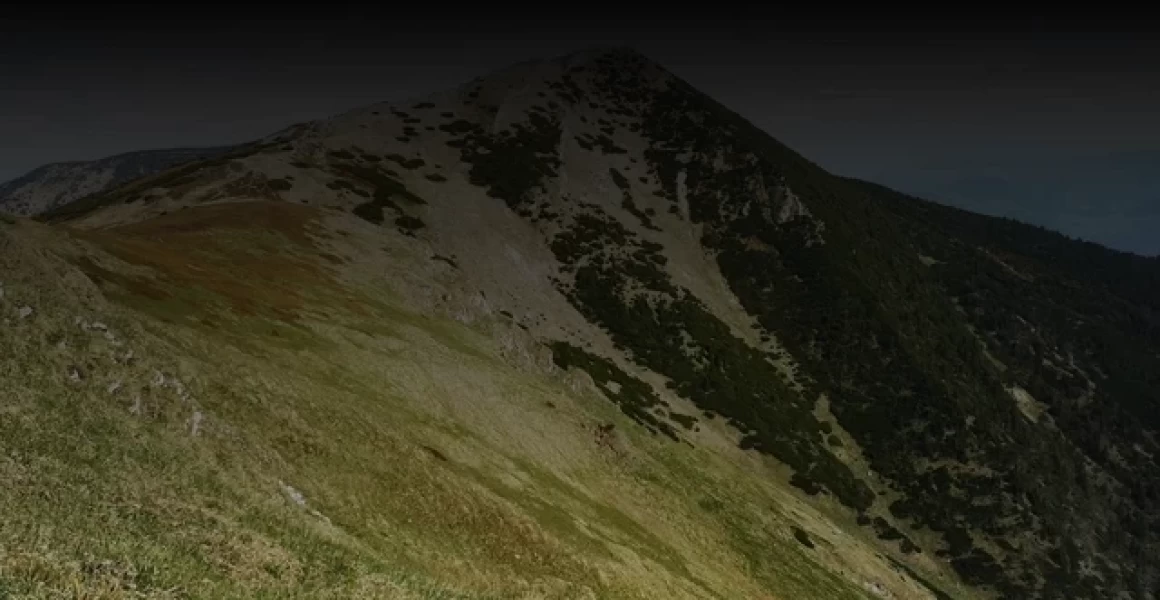 В Вешкаймском районе полицейские задержали двух подозреваемых в хищении имущества В Вешкаймском районе полицейские задержали двух подозреваемых в хищении имущества