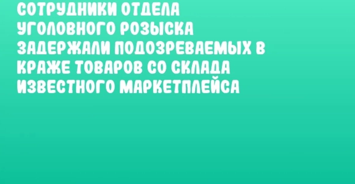 Сотрудники отдела уголовного розыска задержали подозреваемых в краже товаров со склада известного маркетплейса Сотрудники отдела уголовного розыска задержали подозреваемых в краже товаров со склада известного маркетплейса