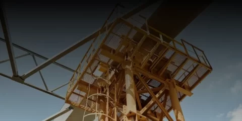 В Ульяновске до конца осени дополнительно высадят почти 2400 зелёных насаждений