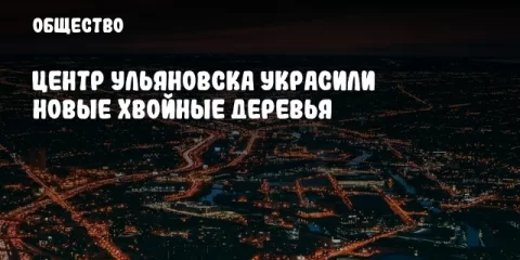 Центр Ульяновска украсили новые хвойные деревья