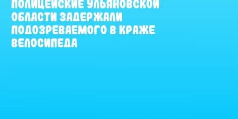 Полицейские Ульяновской области задержали подозреваемого в краже велосипеда