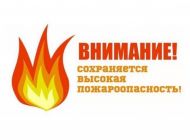 В ульяновских лесах сохраняется высокая пожарная опасность