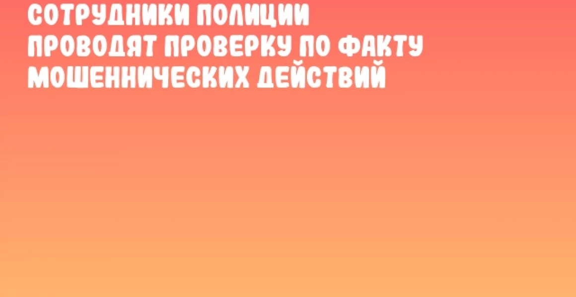 Сотрудники полиции проводят проверку по факту мошеннических действий