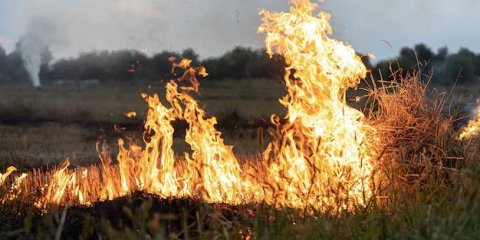 В Ульяновске ожидается высокая пожарная опасность