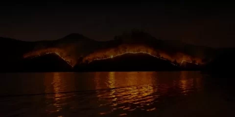 Концерты, открытие парков и футбольный матч: афиша Ульяновска с 28 апреля по 4 мая