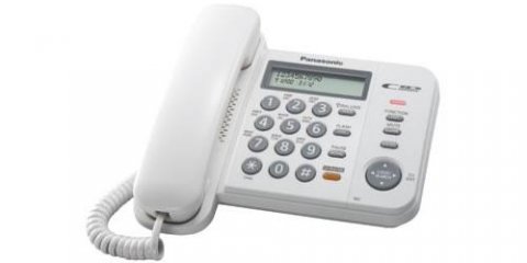 Ульяновцы могут сообщить о фактах нарушения трудового законодательства по &laquo;горячей линии&raquo;