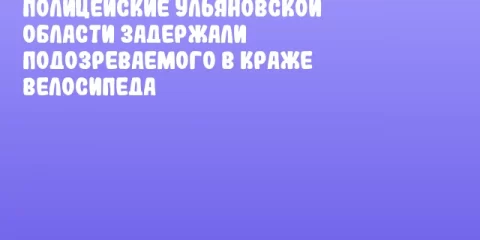 Полицейские Ульяновской области задержали подозреваемого в краже велосипеда