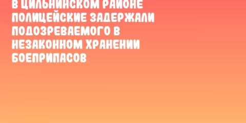В Цильнинском районе полицейские задержали подозреваемого в незаконном хранении боеприпасов