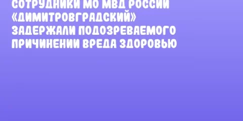 Сотрудники МО МВД России «Димитровградский» задержали подозреваемого причинении вреда здоровью