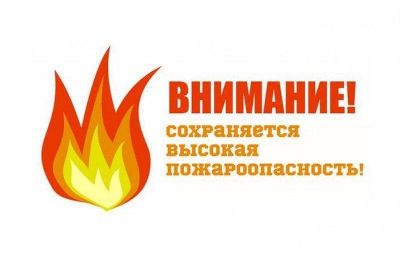 В ульяновских лесах сохраняется высокая пожарная опасность