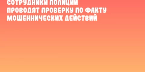 Сотрудники полиции проводят проверку по факту мошеннических действий