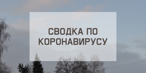 Ситуация с коронавирусом в городе на 3 февраля