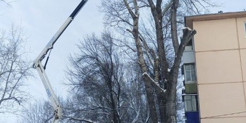 В Ульяновске за неделю спилено более полусотни аварийных деревьев