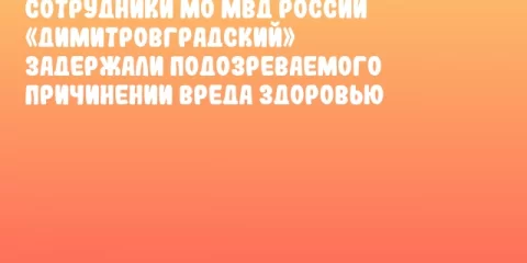Сотрудники МО МВД России «Димитровградский» задержали подозреваемого причинении вреда здоровью