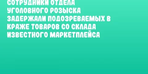 Сотрудники отдела уголовного розыска задержали подозреваемых в краже товаров со склада известного маркетплейса