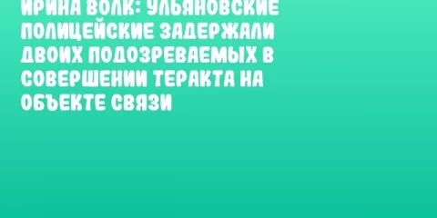 Ирина Волк: Ульяновские полицейские задержали двоих подозреваемых в совершении теракта на объекте связи