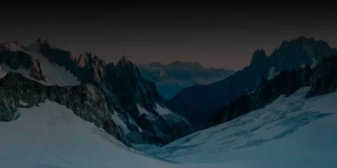 В Ульяновске высаживают декоративные деревья и кустарники на знаковых общественных пространствах