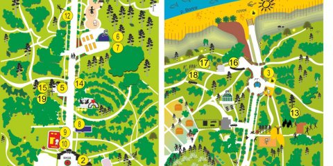 В Ульяновском зоопарке можно будет увидеть викуней