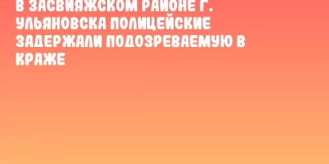 В Засвияжском районе г. Ульяновска полицейские задержали подозреваемую в краже