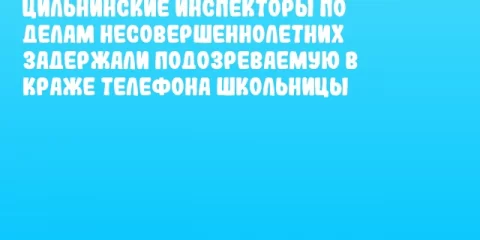 Цильнинские инспекторы по делам несовершеннолетних задержали подозреваемую в краже телефона школьницы