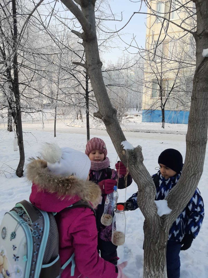 В Ульяновске проходит экологическая акция «Помоги птицам»