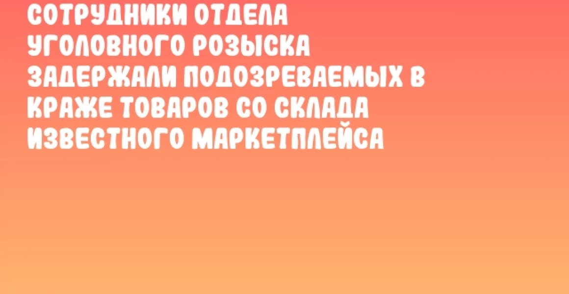Сотрудники отдела уголовного розыска задержали подозреваемых в краже товаров со склада известного маркетплейса