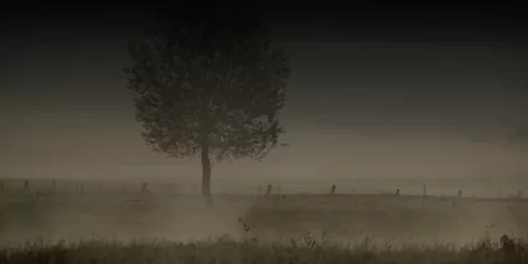 В Майнском районе полицейские выявили нарушения миграционного законодательства В Майнском районе полицейские выявили нарушения миграционного законодательства