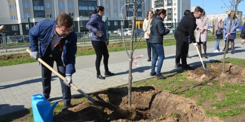 В Ульяновске высадили Сад памяти
