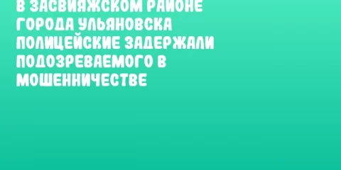 В Засвияжском районе города Ульяновска полицейские задержали подозреваемого в мошенничестве