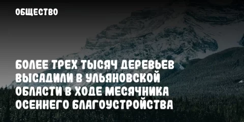 Более трех тысяч деревьев высадили в Ульяновской области в ходе месячника осеннего благоустройства