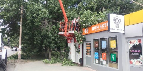 За прошлую неделю в Ульяновске снесли 58 аварийных деревьев