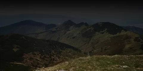 В Ульяновске приступили к высадке деревьев и кустарников В Ульяновске приступили к высадке деревьев и кустарников