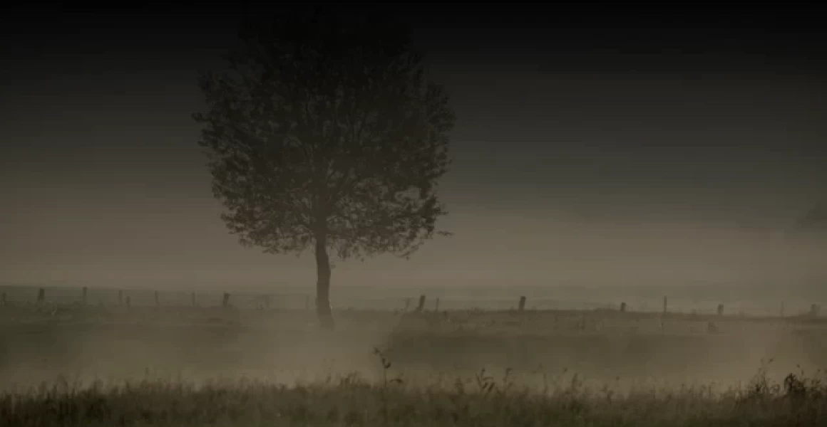 В Майнском районе полицейские выявили нарушения миграционного законодательства В Майнском районе полицейские выявили нарушения миграционного законодательства