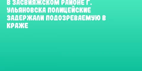 В Засвияжском районе г. Ульяновска полицейские задержали подозреваемую в краже