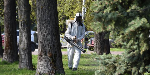 В правобережье Ульяновска началась антиклещевая обработка