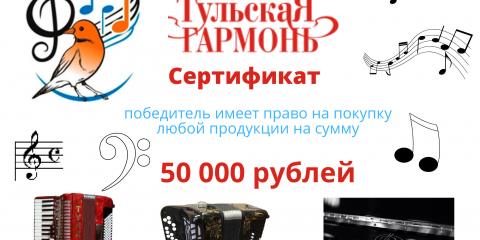 В Ульяновске учреждения допобразования могут получить сертификат на приобретение музыкальных инструментов