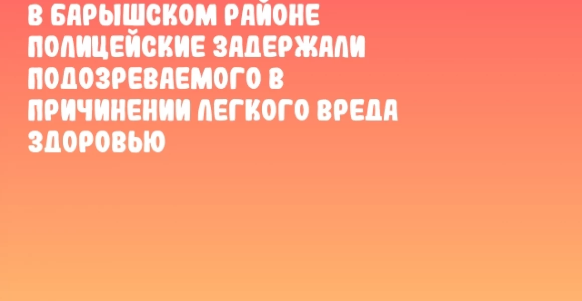 В Барышском районе полицейские задержали подозреваемого в причинении легкого вреда здоровью