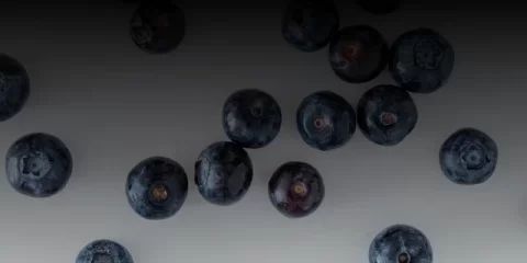 День рождения Аркадия Пластова и фестиваль ГТО: афиша событий в Ульяновске на эту неделю День рождения Аркадия Пластова и фестиваль ГТО: афиша событий в Ульяновске на эту неделю