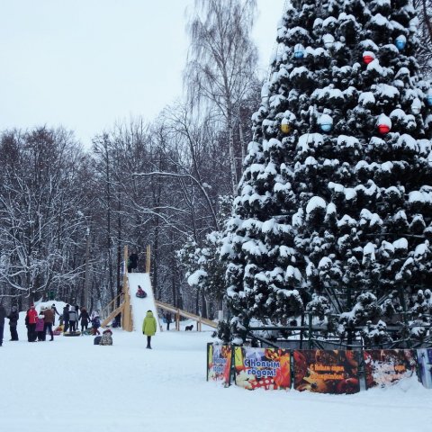 Новогодние ёлки в Ульяновске во всех парках откроются 22 декабря 2018