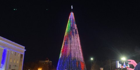 В Ульяновске открыли главную городскую ёлку